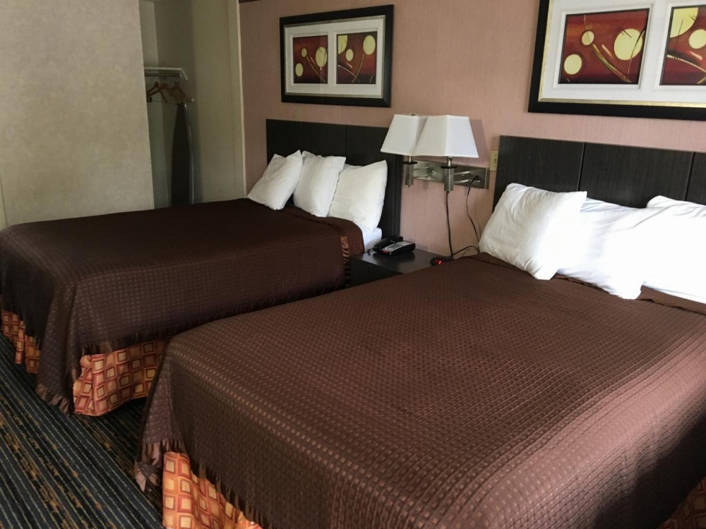 Room Image 3